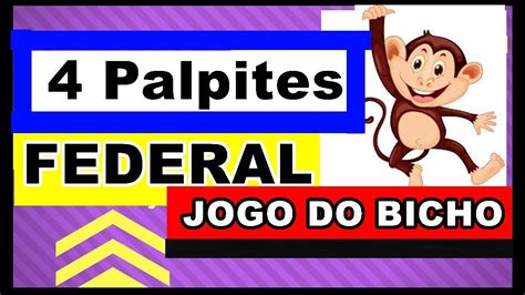 palpites do bicho federal